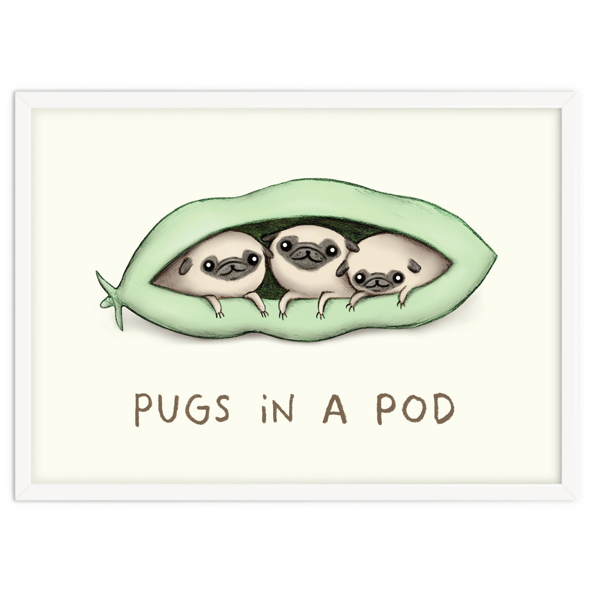 Pugs In A Pod