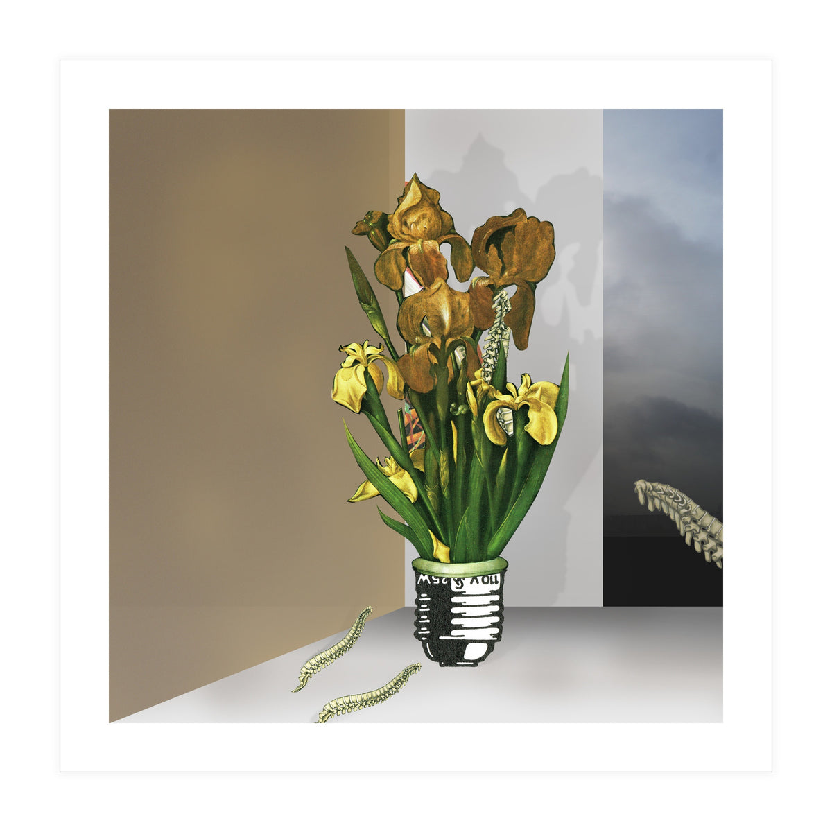 Das Licht Der Pflanze (Print Only)