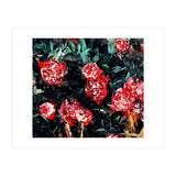 Dark Forest (Print Only) thumbnail