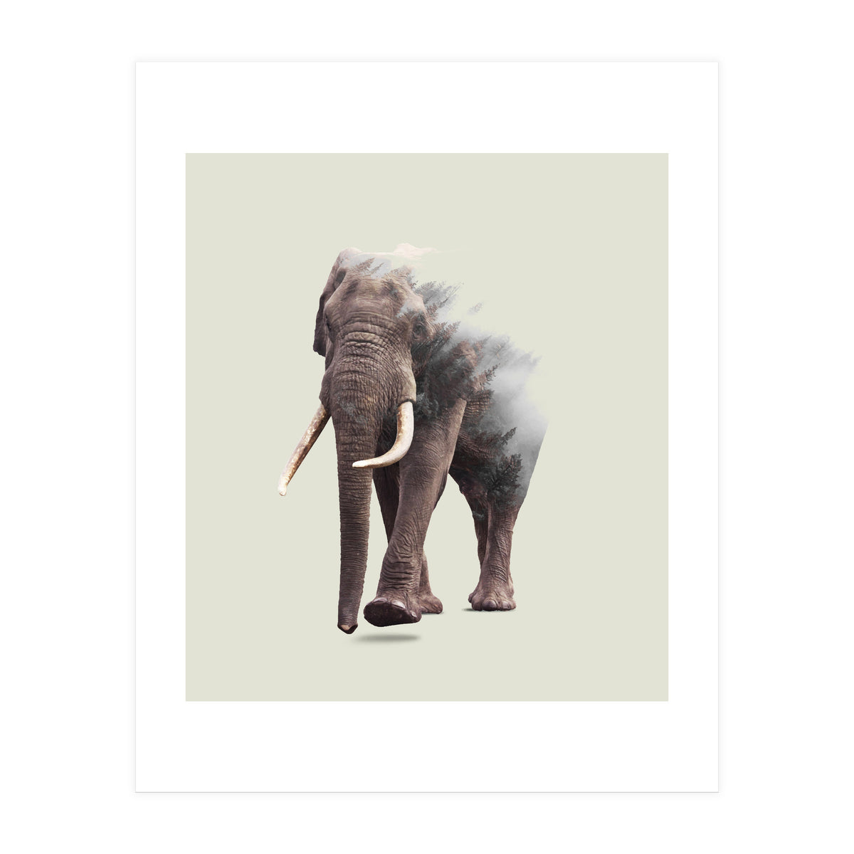Elephantastic (Print Only)
