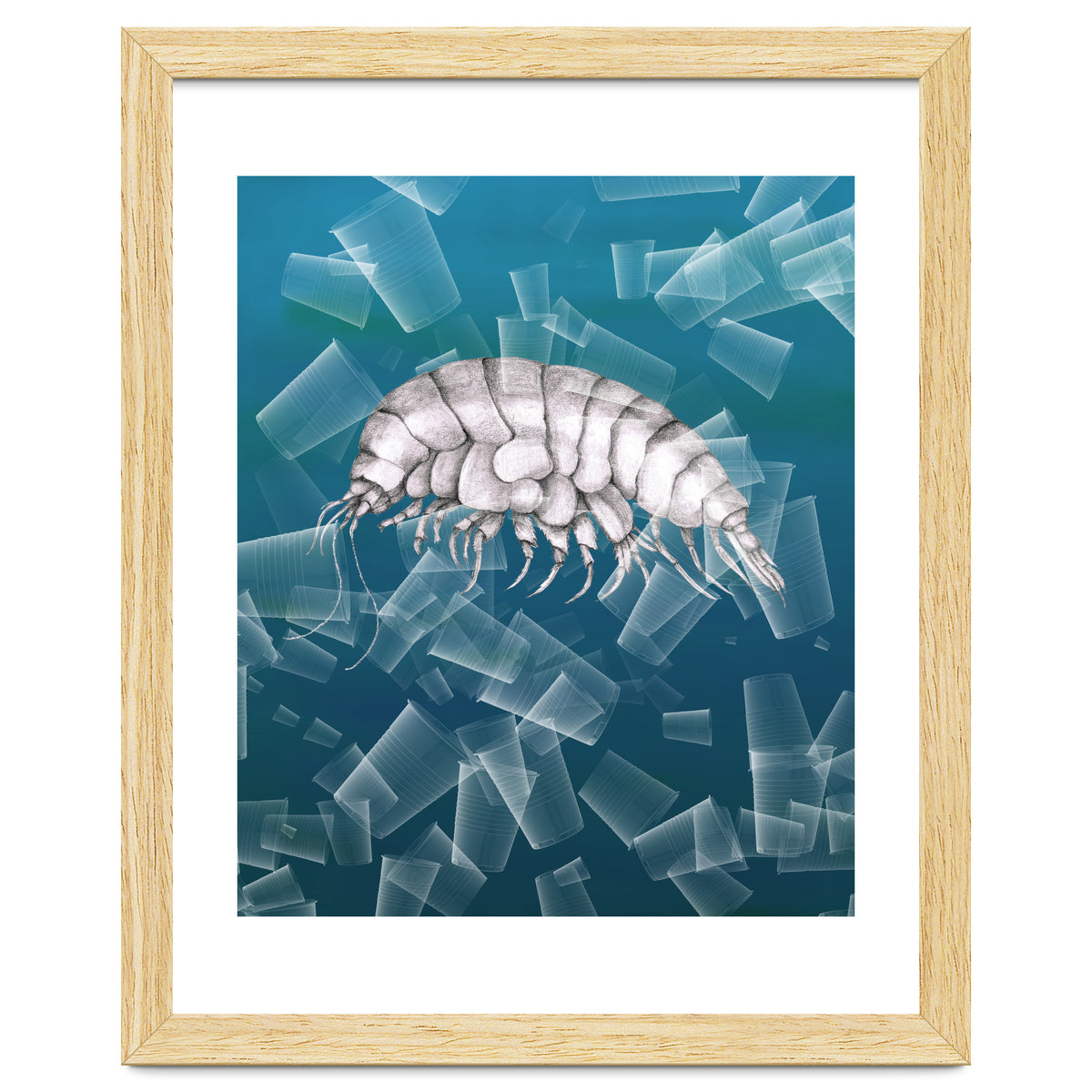 Eurythenes Plasticus