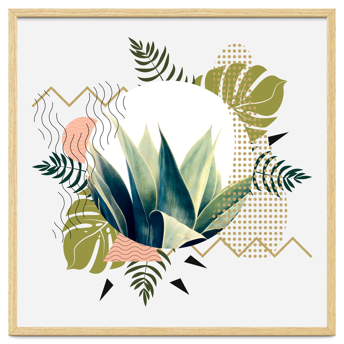 Abstract geometrical and botanical shapes