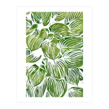Wild Leaves III (Print Only) thumbnail