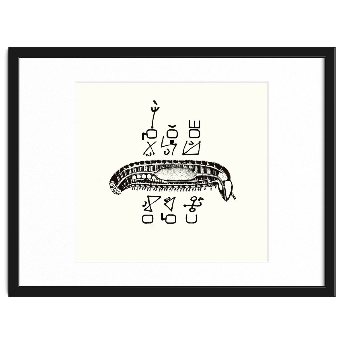 Diplopod David Felix