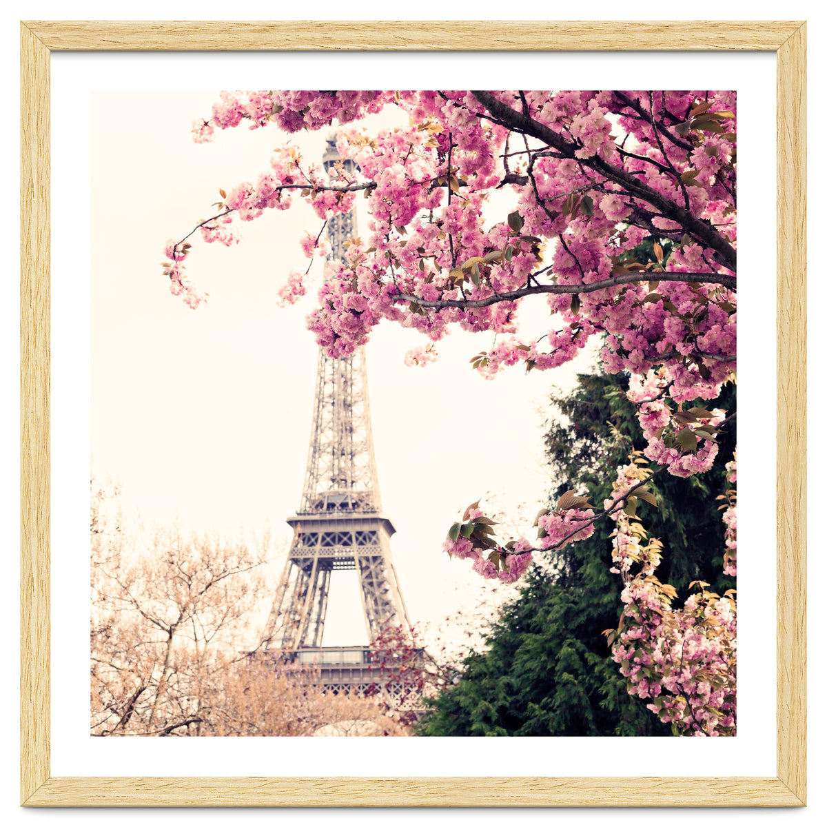 Paris in the Spring