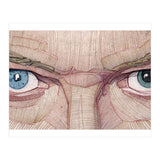 David Bowie Eyes (Print Only) thumbnail
