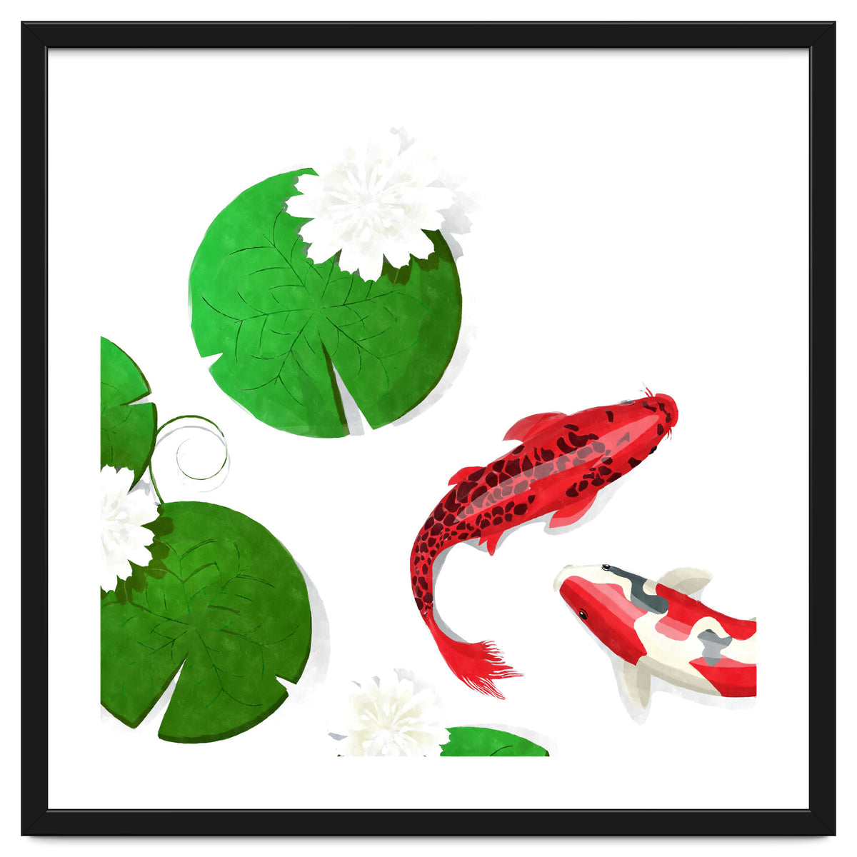 Watercolor Koi Fish Background