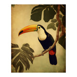 Toucan Vintage Jungle Painting (Print Only) thumbnail