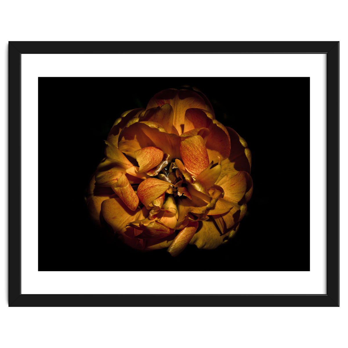 Backyard Flowers No 80 Color Version