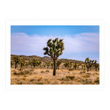 Joshua Tree (Print Only) thumbnail