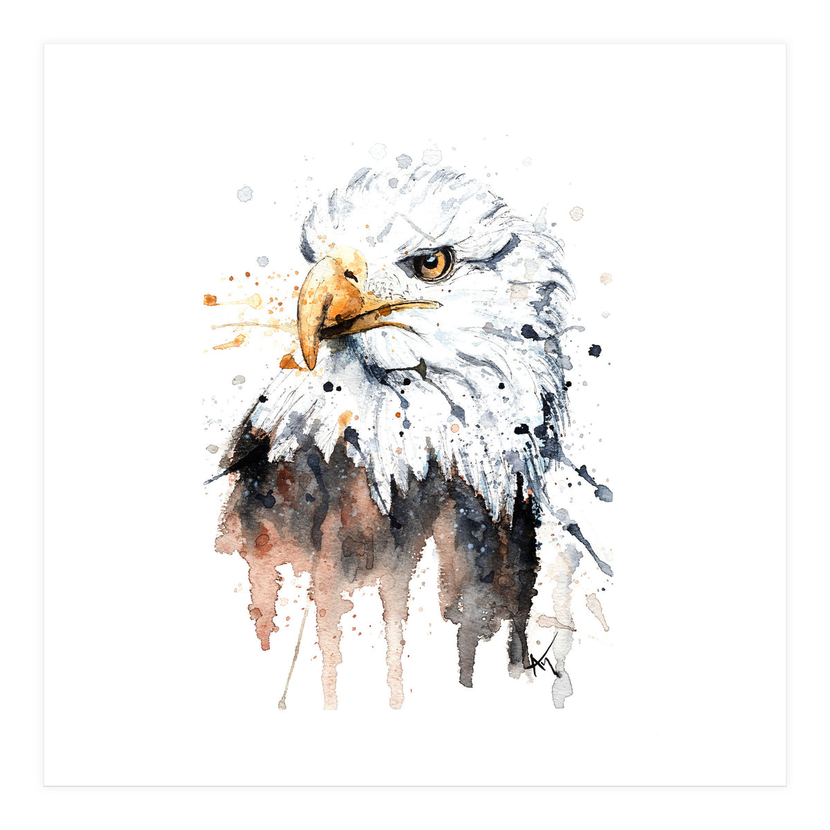 Bald Eagle - Wildlife Collection (Print Only)