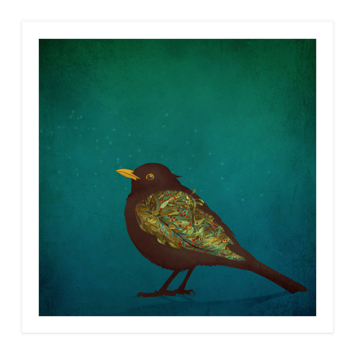 Camouflage: The Blackbird (Print Only)