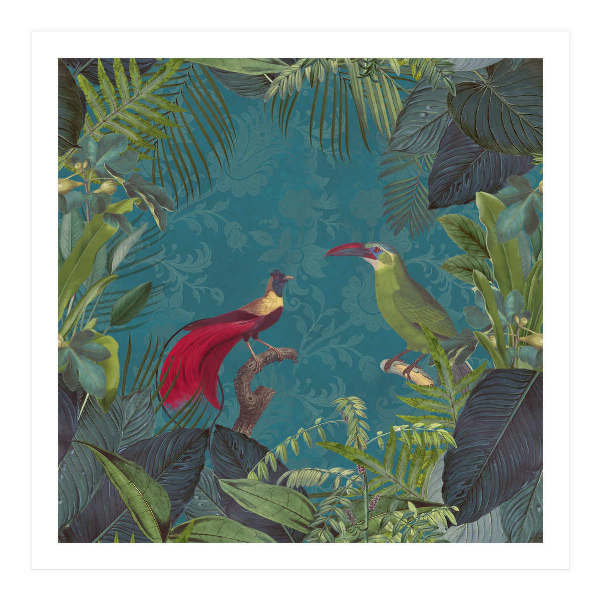 Birds Of Paradise (Print Only)