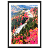 Valley of Pink Trees | Fantasy Pop of Color Forest Nature | Jungle Adventure Road Trip Pine thumbnail