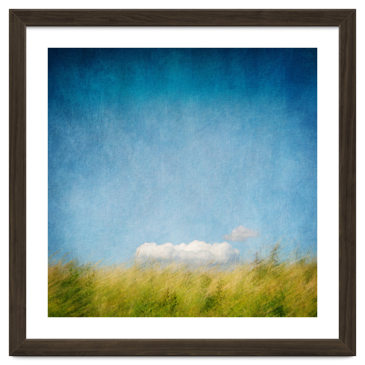 The Cloud That Fell From The Sky