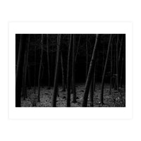 silent woods (Print Only)