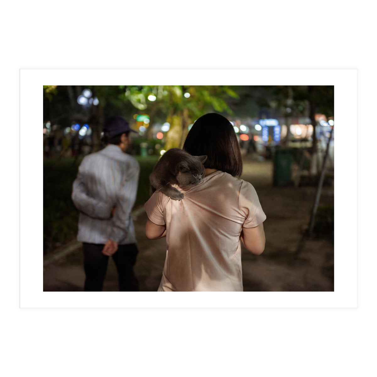 Cats of Vietnam (Print Only)