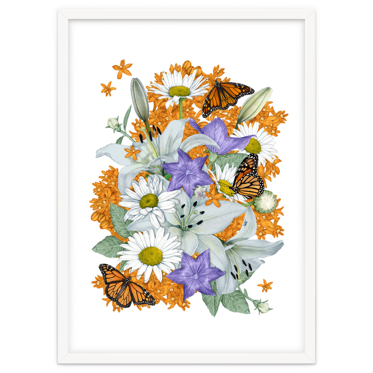 Lillies and Monarchs