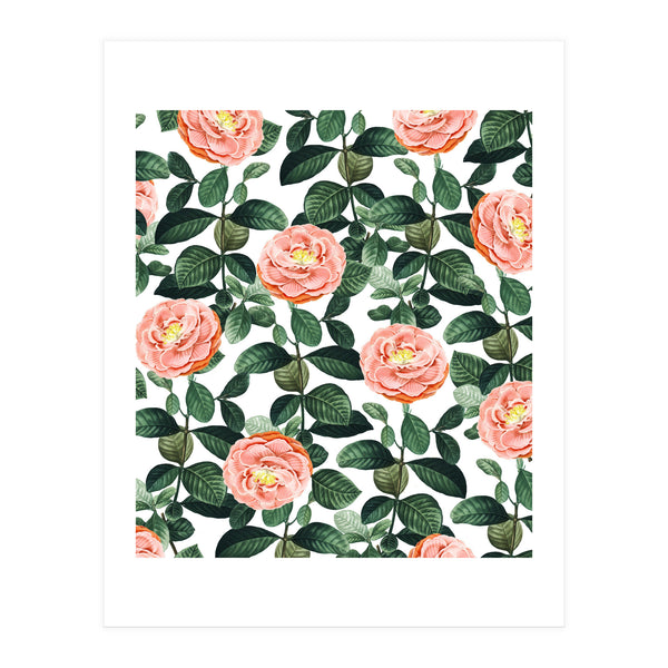 Josephine | Vintage Rose Garden Illustration | Bohemian Botanical Floral House Plants (Print Only)
