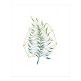 Geometry And Nature I (Print Only) thumbnail