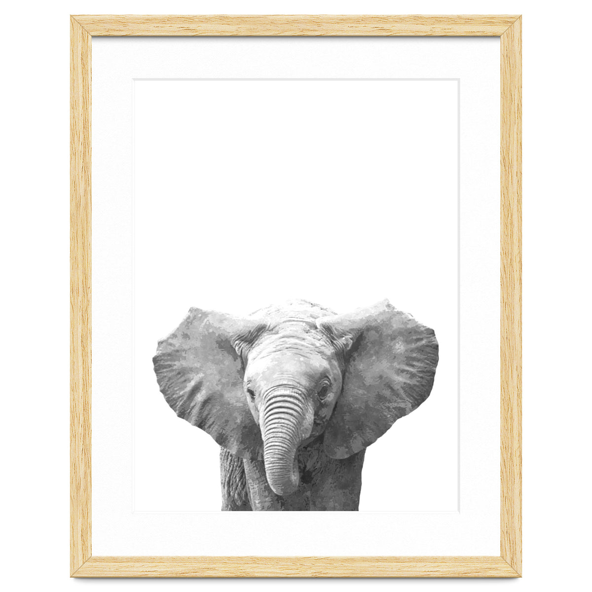 Black and White Baby Elephant