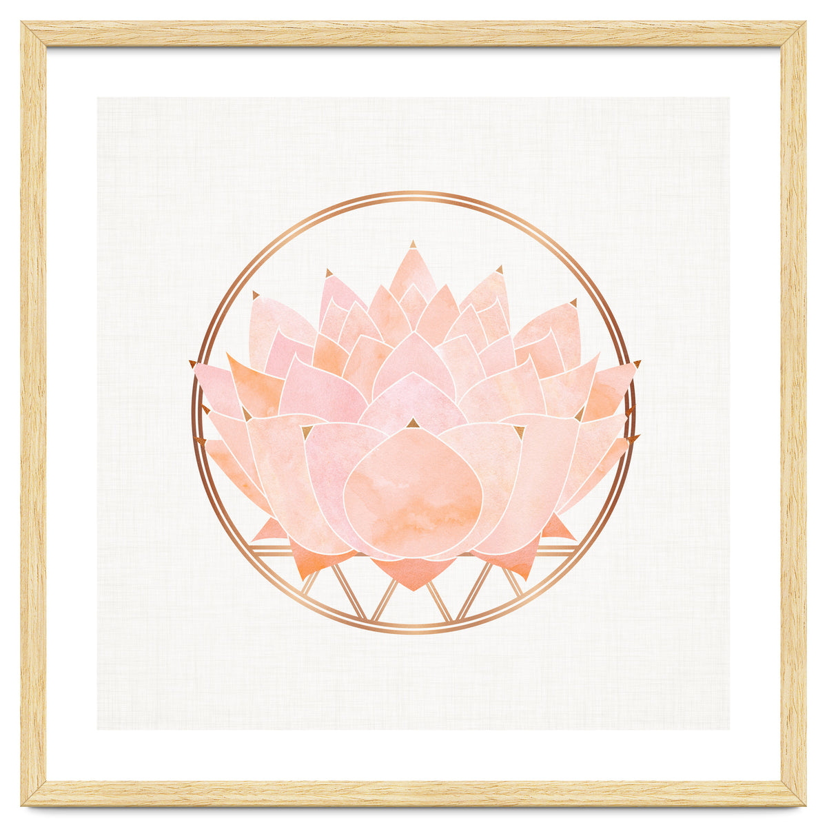 Peach Succulent  Blossom