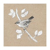 Gold crest (Print Only) thumbnail