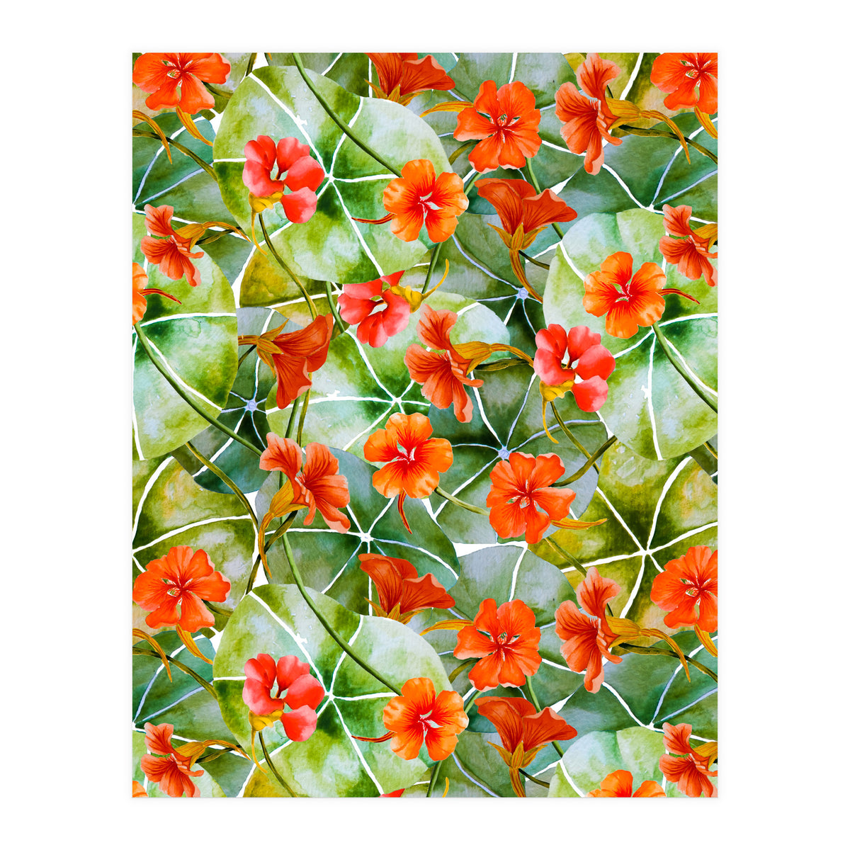 Nasturtiums watercolor 01 (Print Only)