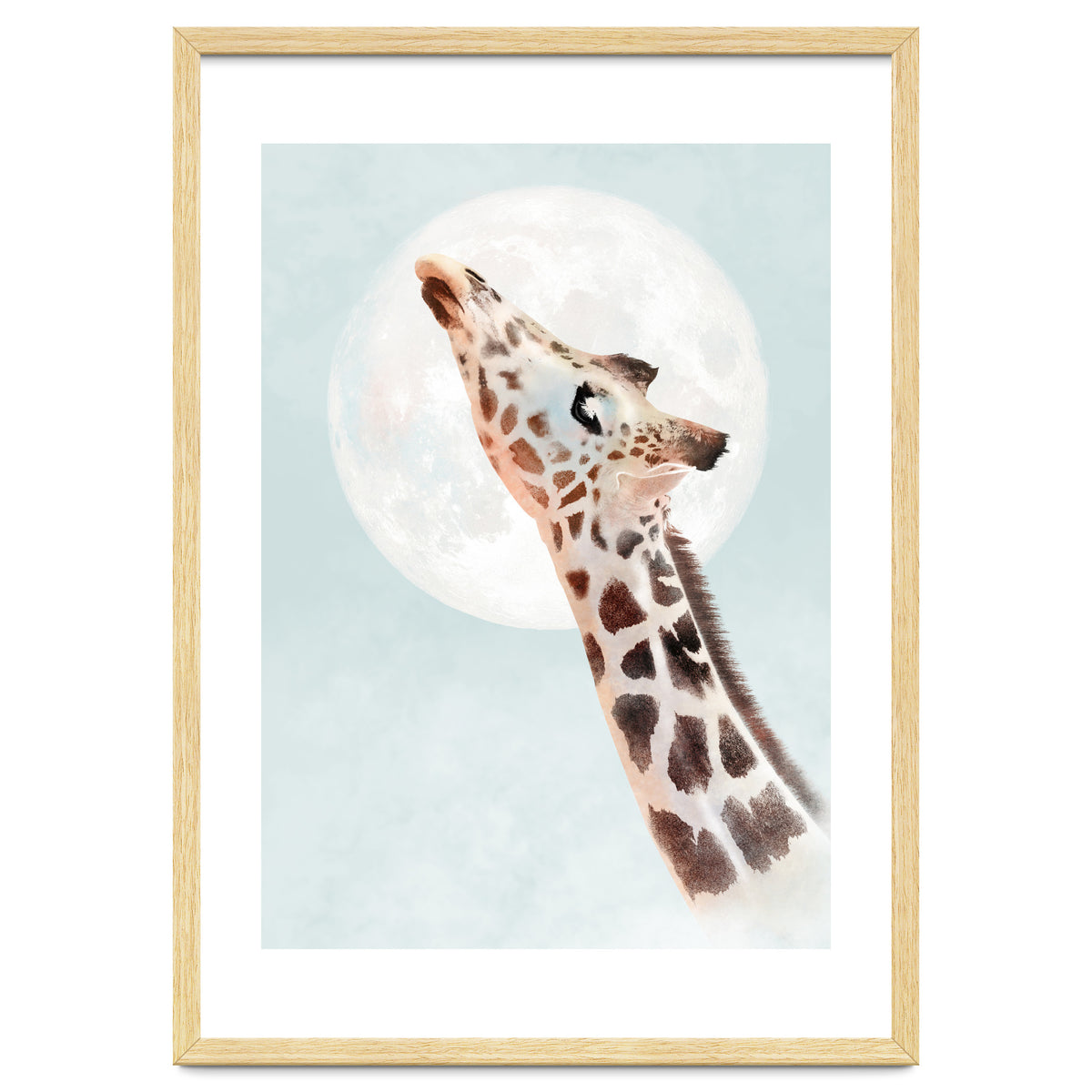 Giraffe And Moon