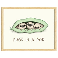 Pugs In A Pod