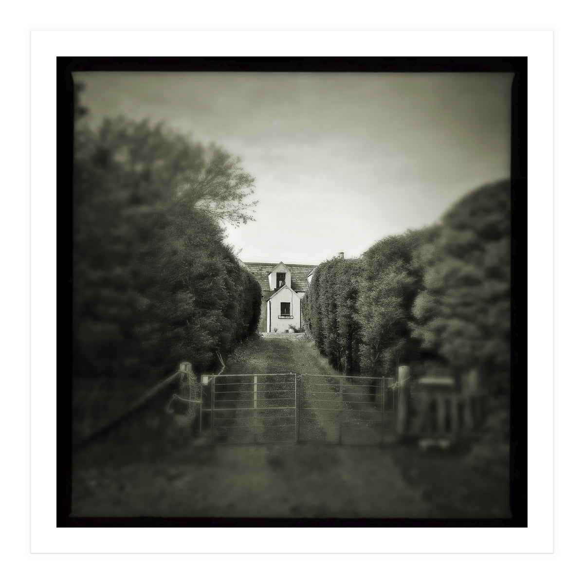 Waterstein 3 (Print Only)