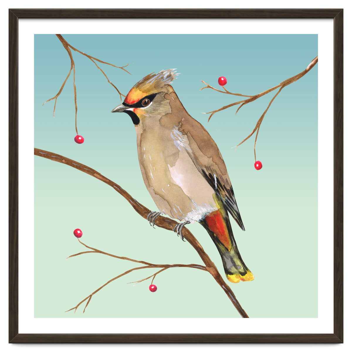 Bohemian waxwing
