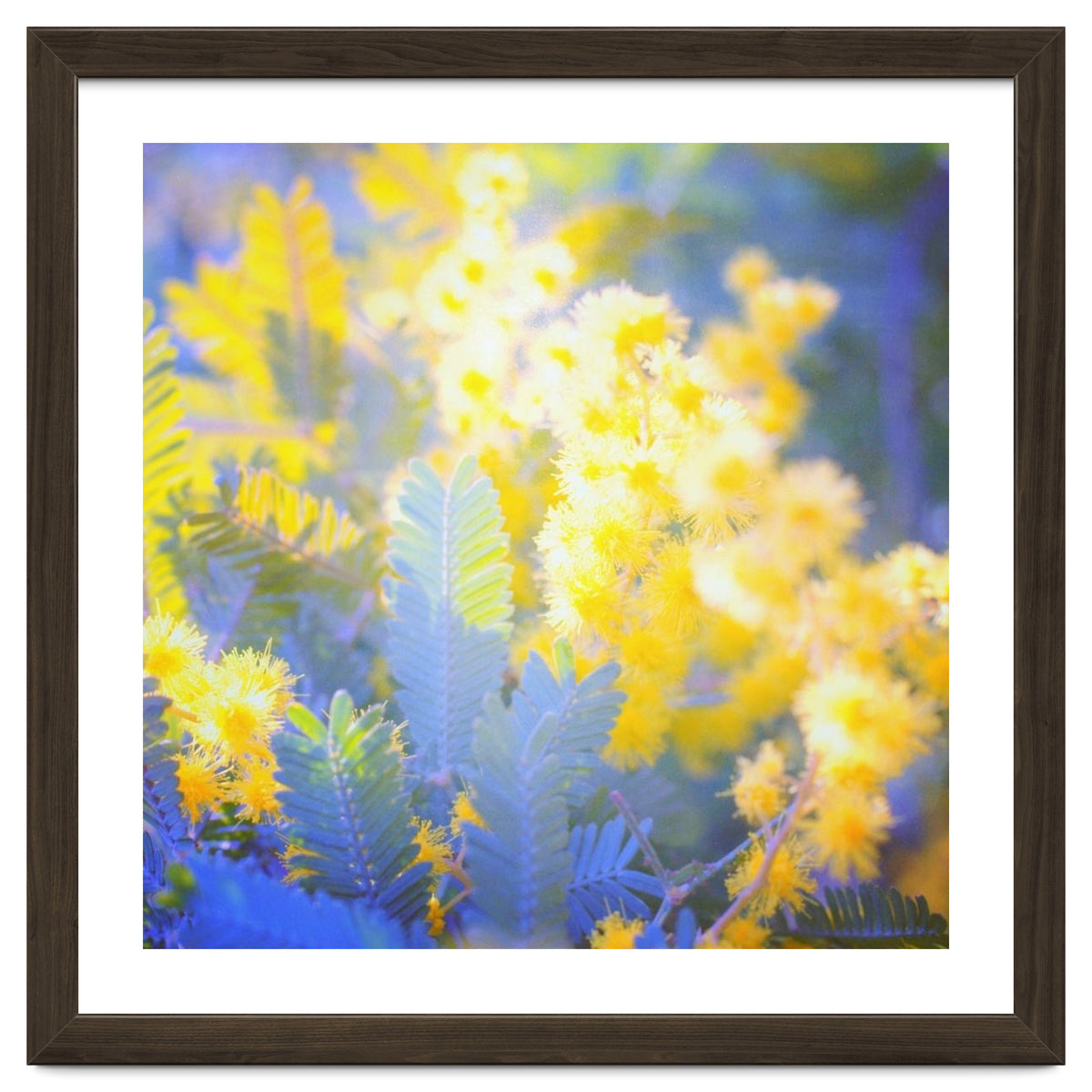 Yellow shiny flowers