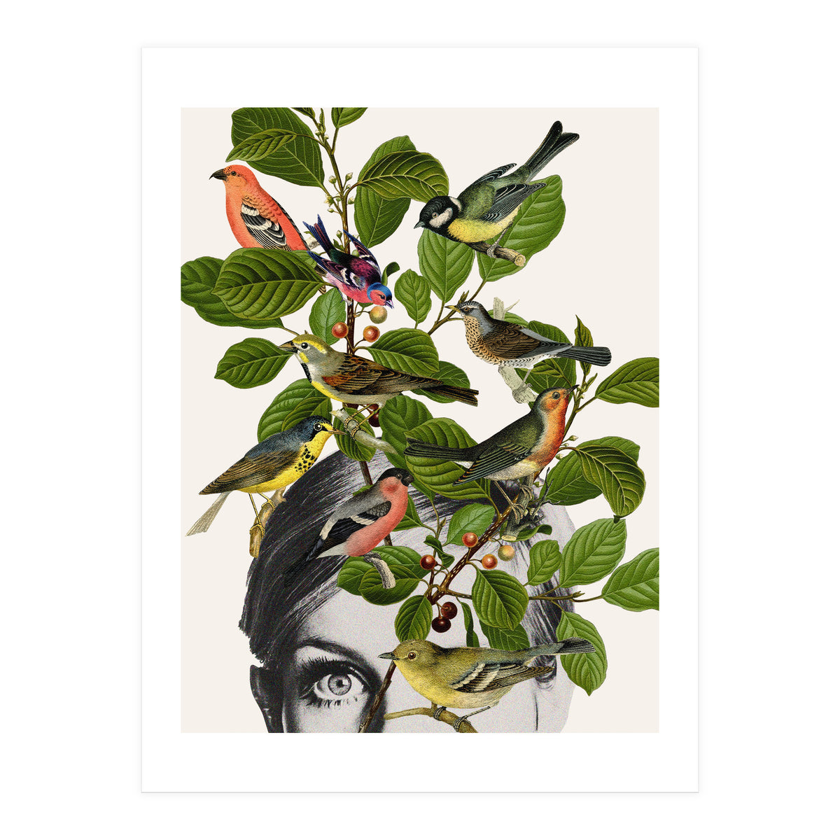 Twiggy Eyes (Print Only)