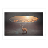 Display Ring (Print Only) thumbnail