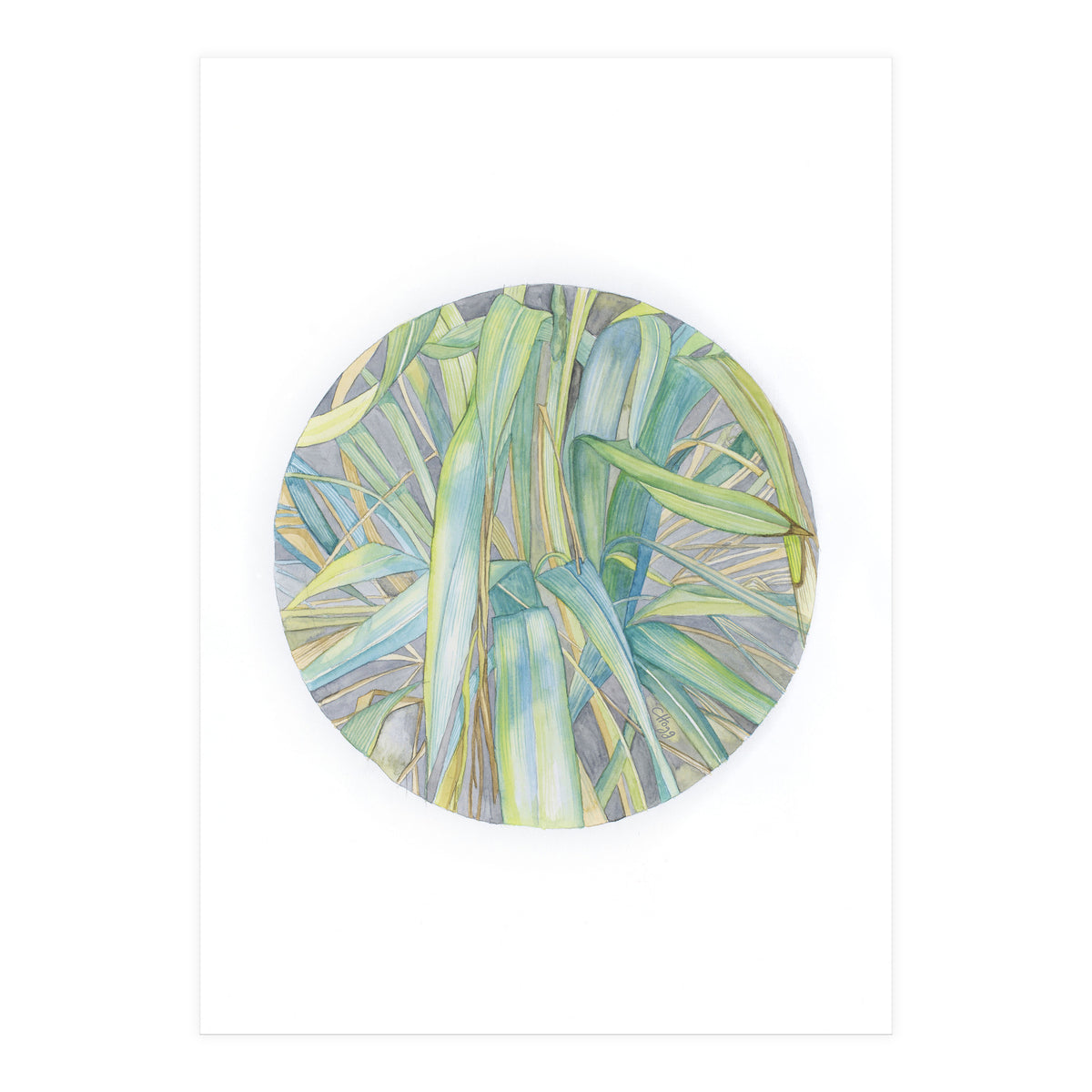 Grasses In The Late Summer Light (Print Only)