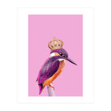 Queenfisher (Print Only) thumbnail
