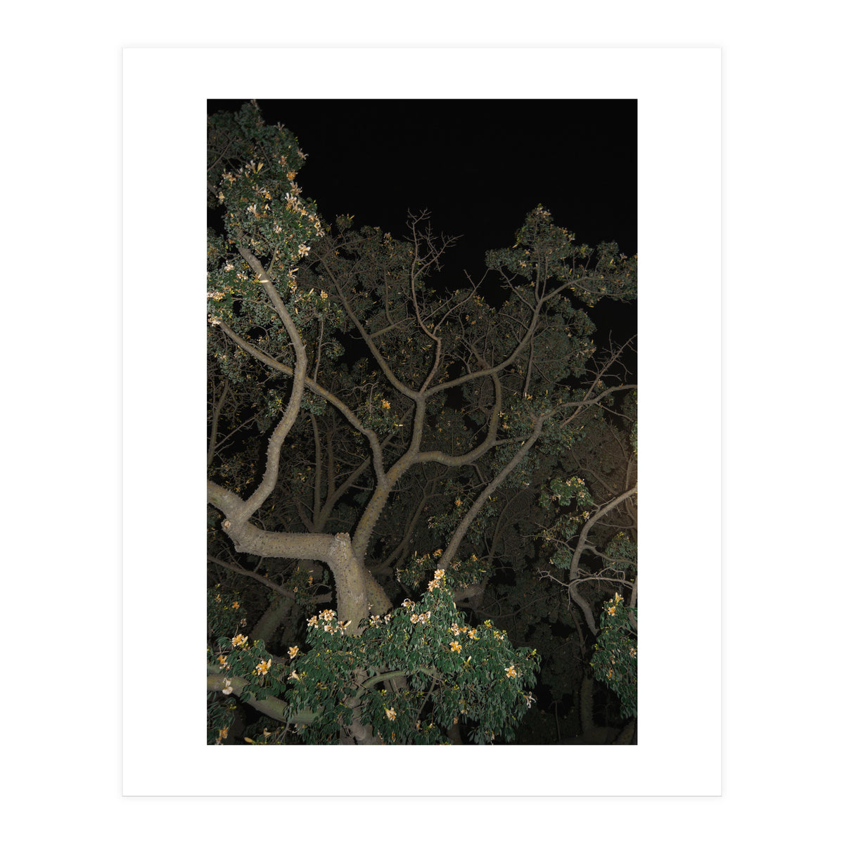 Night in Malaga (Print Only)