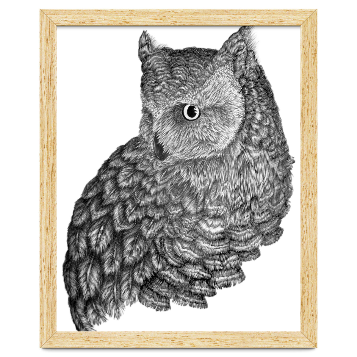 A Friend For Forsythe