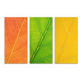 Autumn Leaves (Print Only) thumbnail