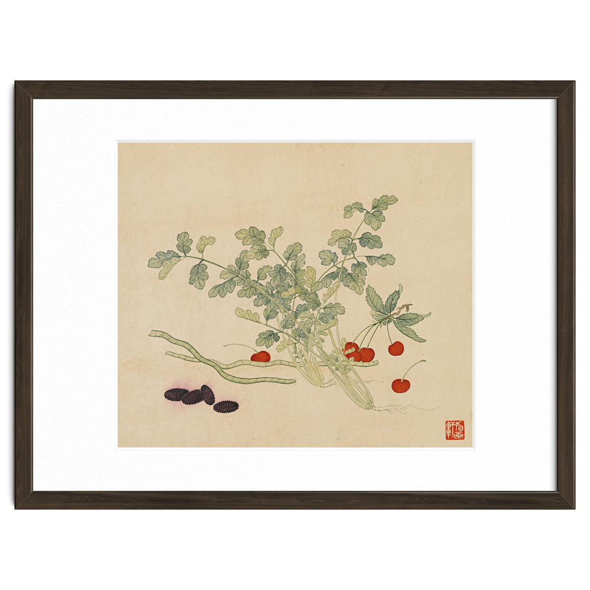 Wang Chengyu~flowers And Vegetables, Vegetables, Fruits, Beans, Red Beans, Cherries, Celery