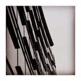 49297170 629 B 473 D B396 E6 A544 Fe82 Bb (Print Only) thumbnail