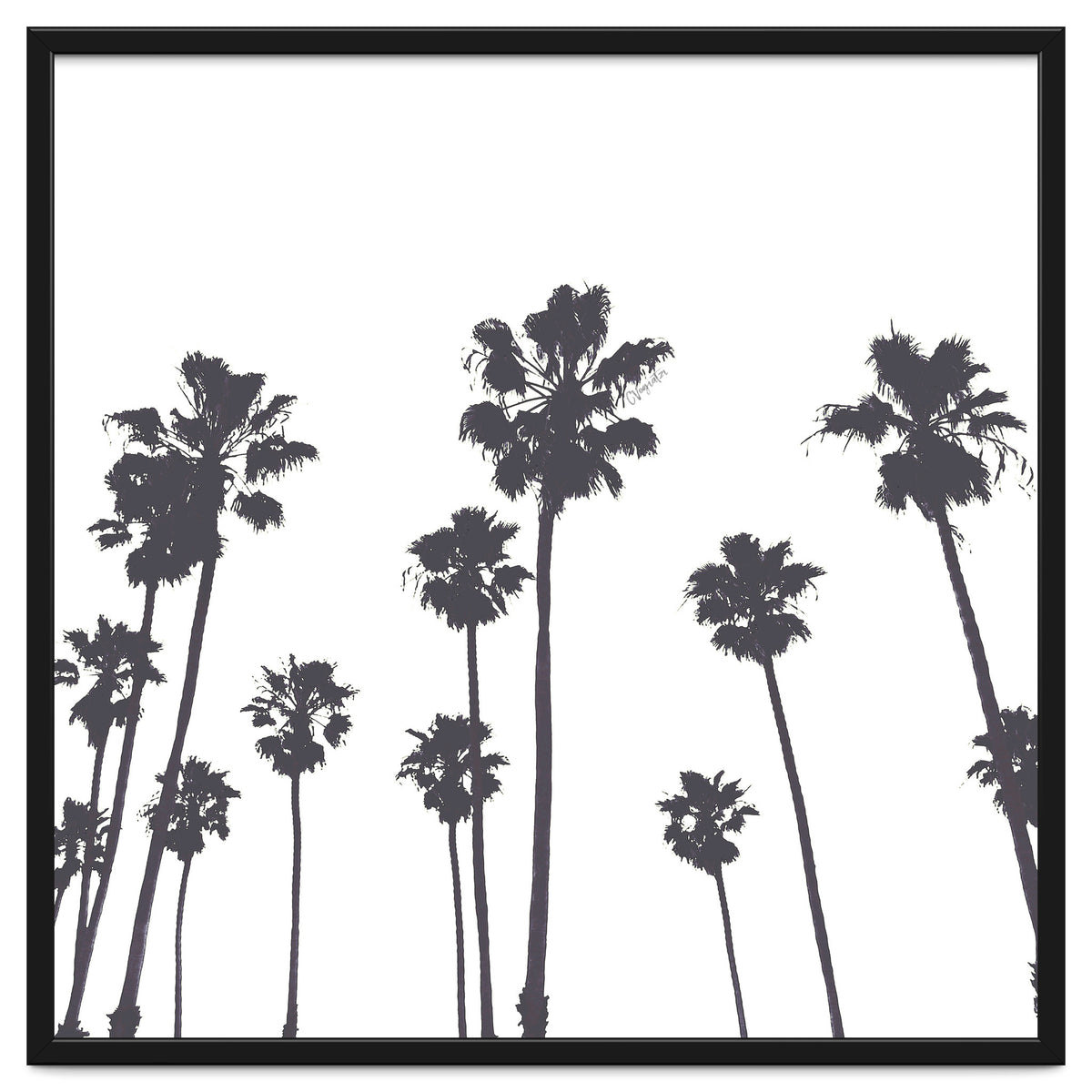 Palms & Sunset-Minimal B&W