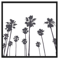 Palms & Sunset-Minimal B&W