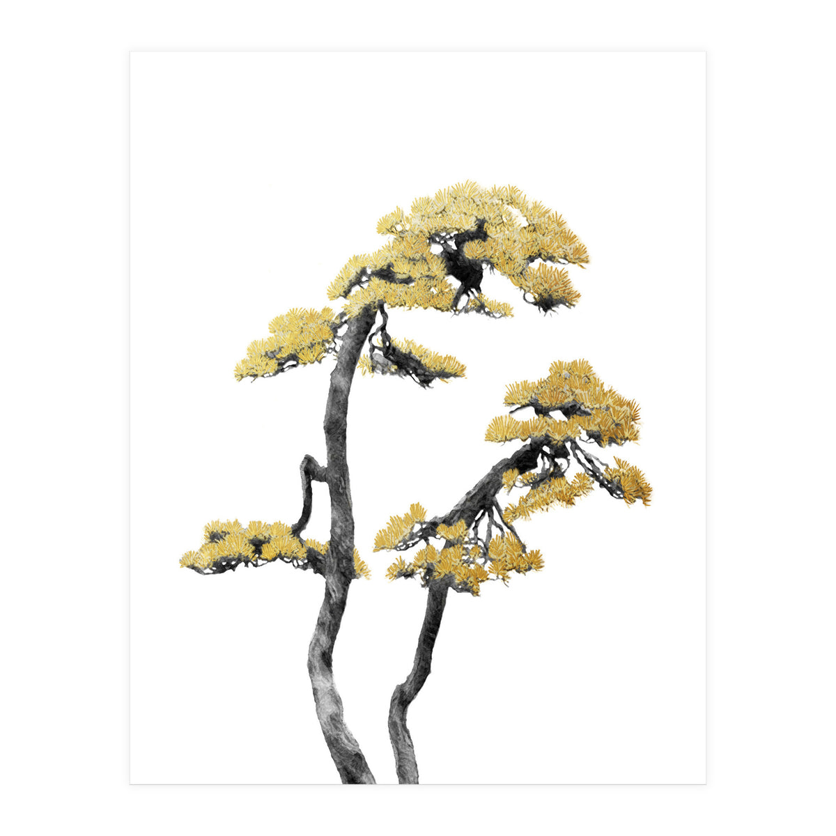 Bonsai Tree 06 (Print Only)