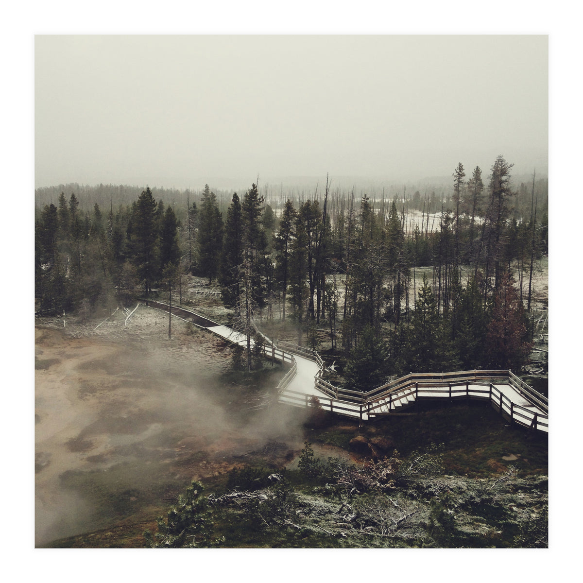 Artists Paint Pots (Print Only)