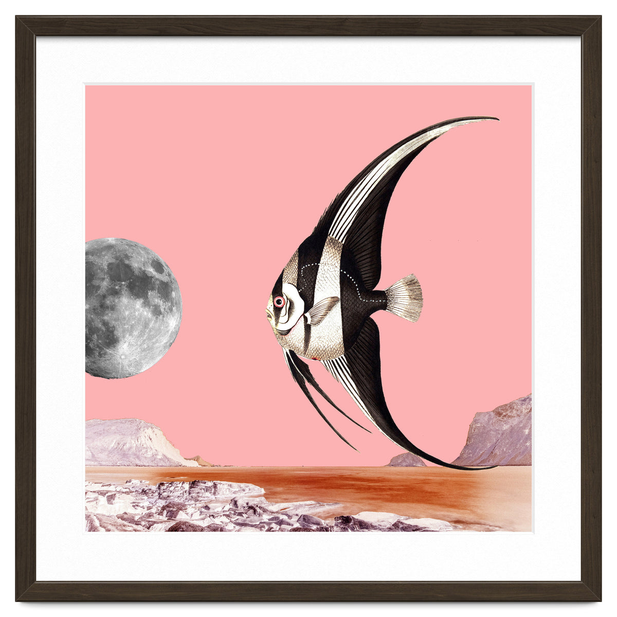 Plenty Of Fish In The Sea Pink