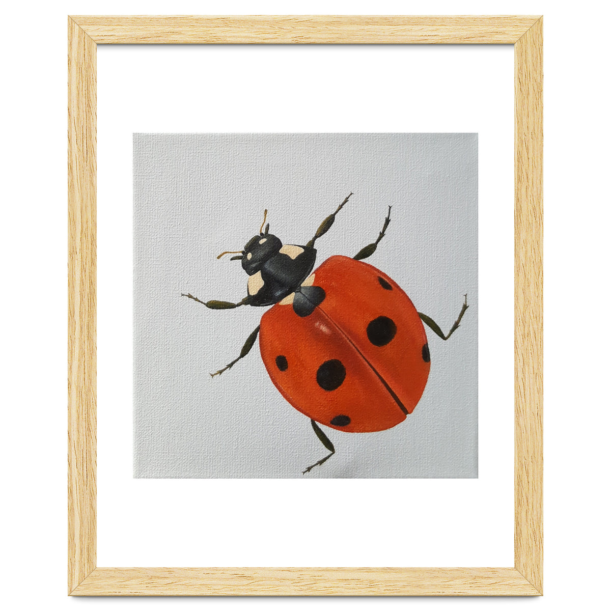 Ladybird