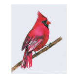 A Northern cardinal watercolor (Print Only) thumbnail
