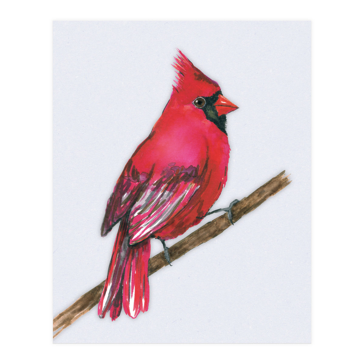 A Northern cardinal watercolor (Print Only)